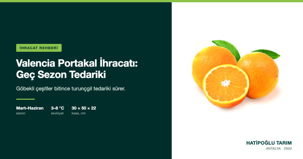 Valencia Portakal İhracatı: Geç Sezon Tedariki