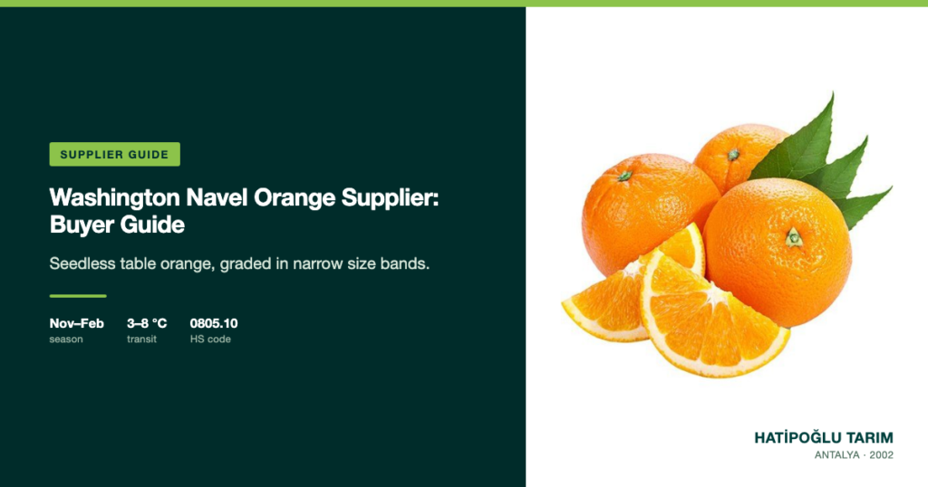 Washington Navel Orange Supplier: Buyer Guide