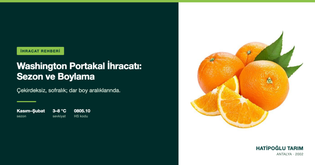 Washington Portakal İhracatı: Sezon ve Boylama