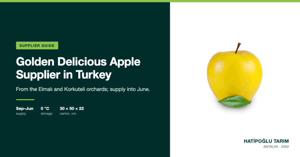 Golden Delicious Apple Supplier in Turkey