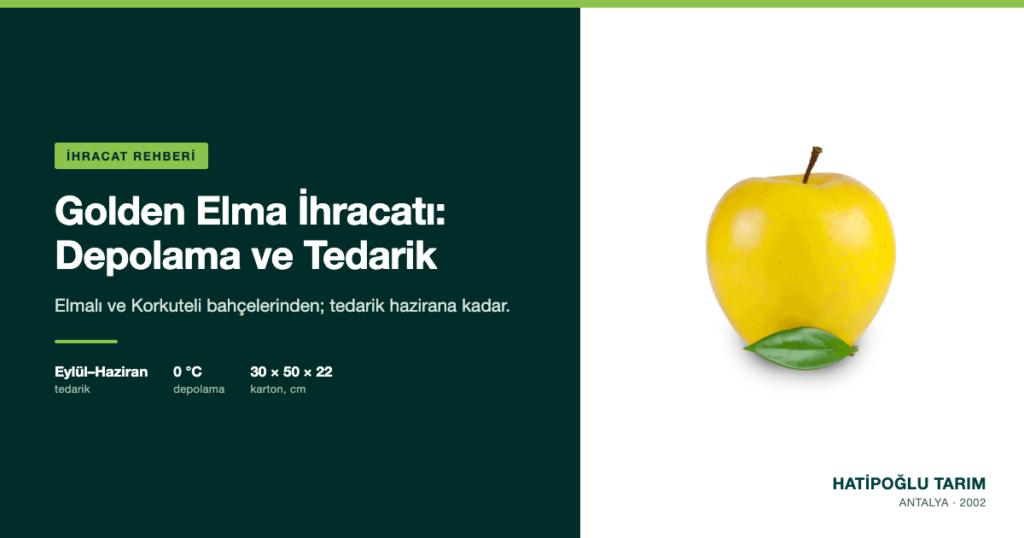 Golden Elma İhracatı: Depolama ve Tedarik