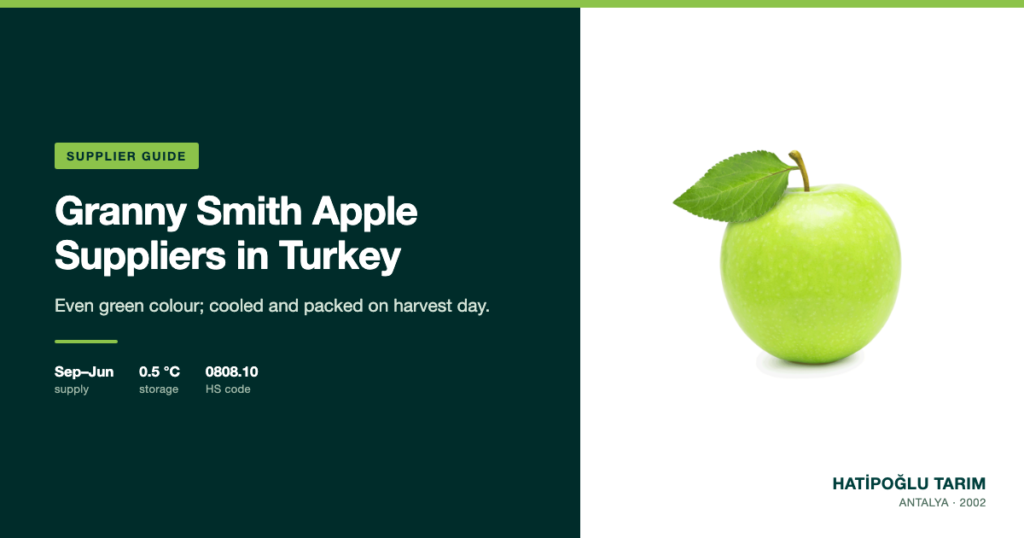 Granny Smith Apple Suppliers in Turkey