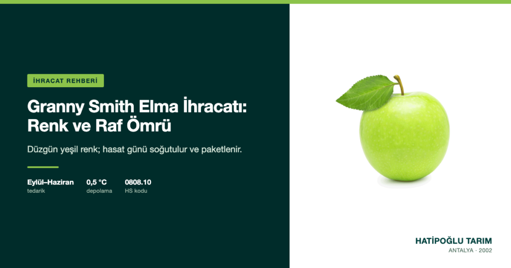 Granny Smith Elma İhracatı: Renk ve Raf Ömrü