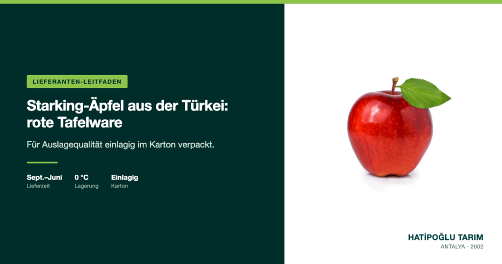 Starking-Äpfel aus der Türkei: rote Tafelware