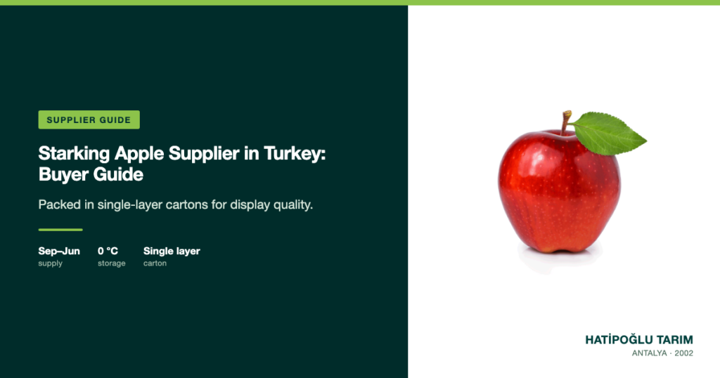 Starking Apple Supplier in Turkey: Buyer Guide
