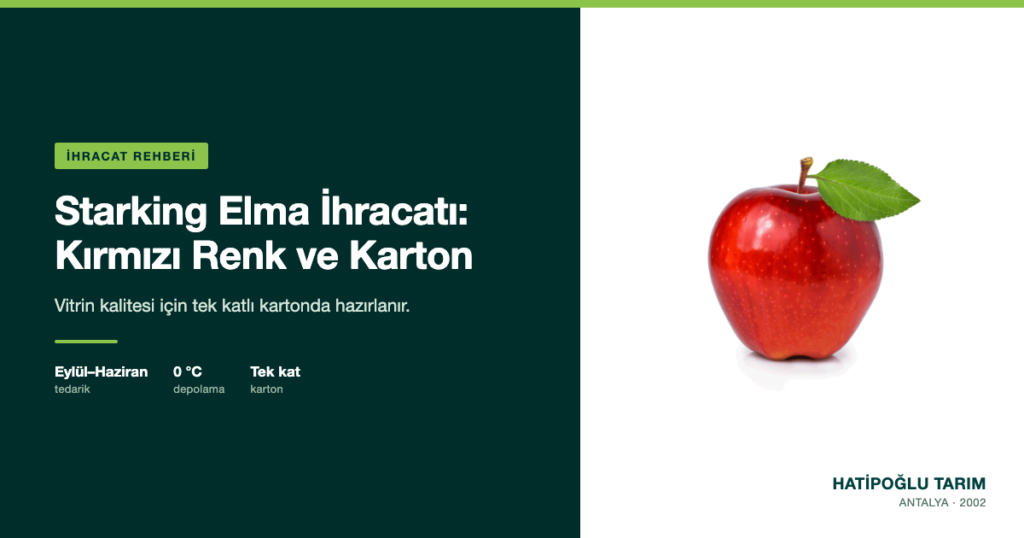 Starking Elma İhracatı: Kırmızı Renk ve Karton