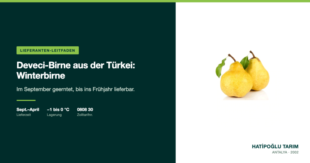 Deveci-Birne aus der Türkei: Winterbirne