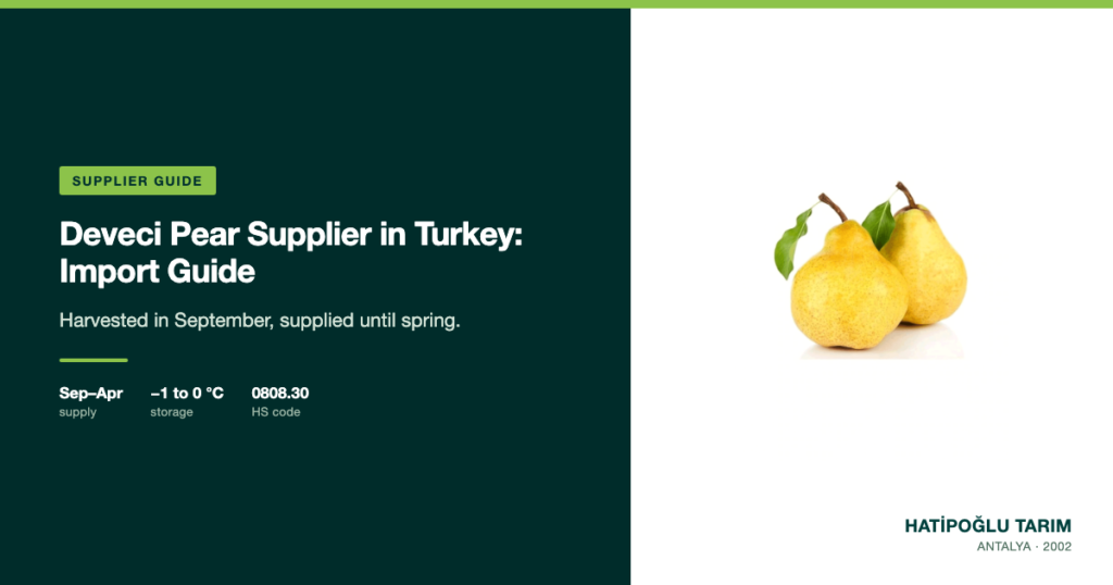 Deveci Pear Supplier in Turkey: Import Guide