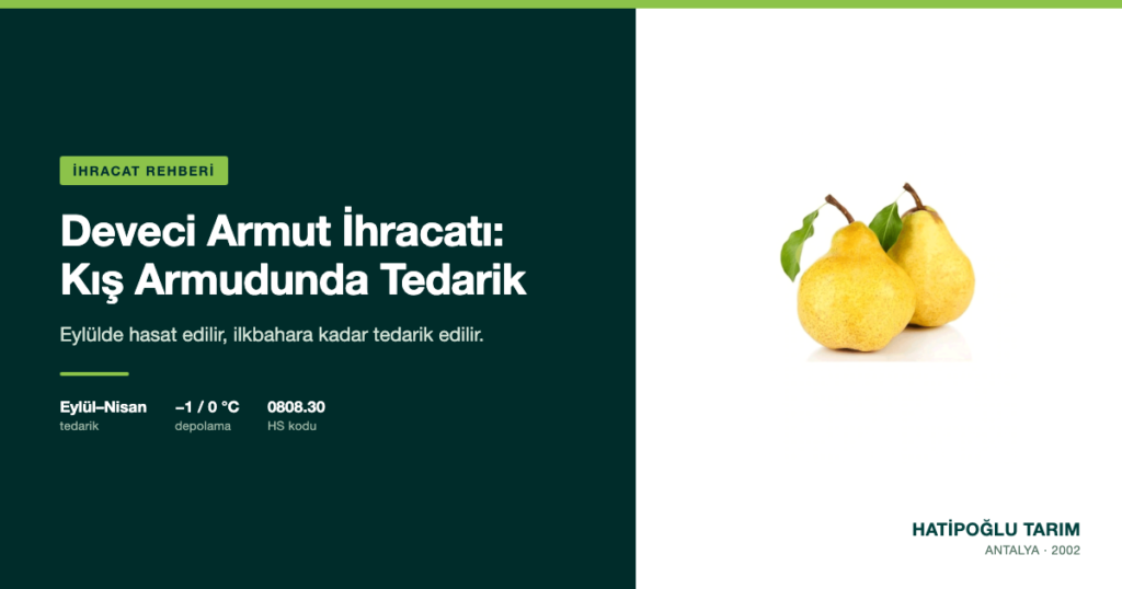 Deveci Armut İhracatı: Kış Armudunda Tedarik
