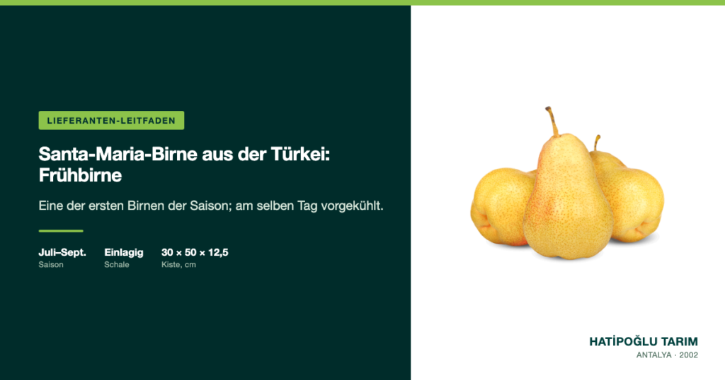 Santa-Maria-Birne aus der Türkei: Frühbirne