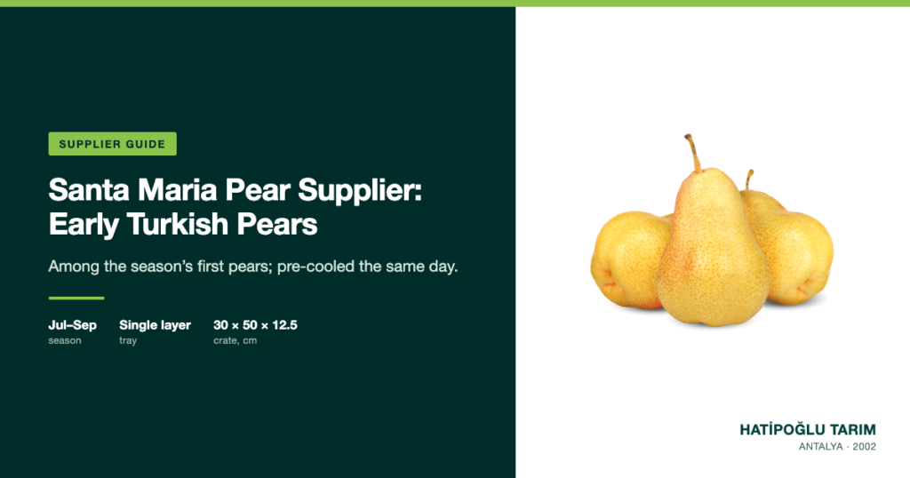 Santa Maria Pear Supplier: Early Turkish Pears