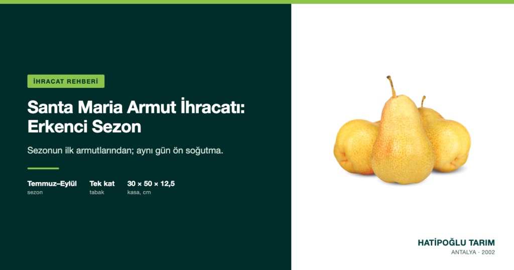 Santa Maria Armut İhracatı: Erkenci Sezon