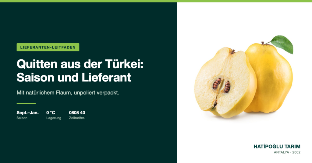 Quitten aus der Türkei: Saison und Lieferant