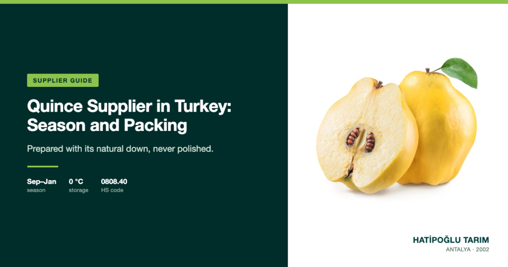 Quince Supplier in Turkey: Season and Packing