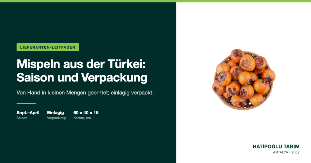 Mispeln aus der Türkei: Saison und Verpackung