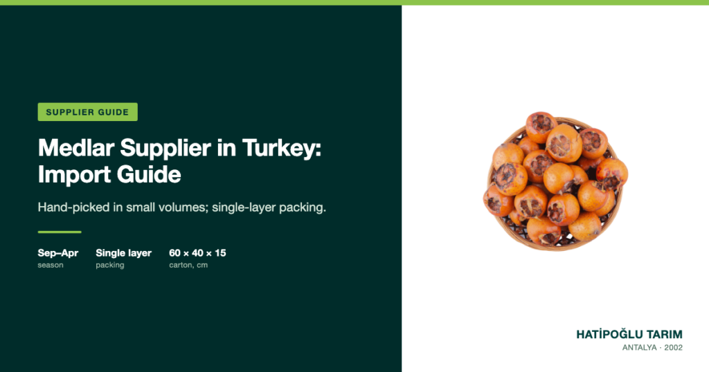 Medlar Supplier in Turkey: Import Guide