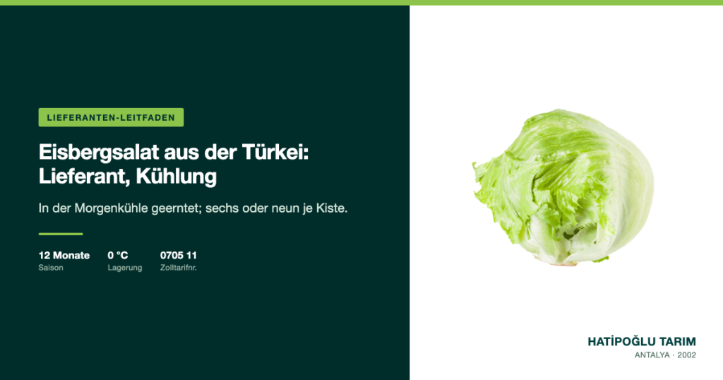 Eisbergsalat aus der Türkei: Lieferant, Kühlung