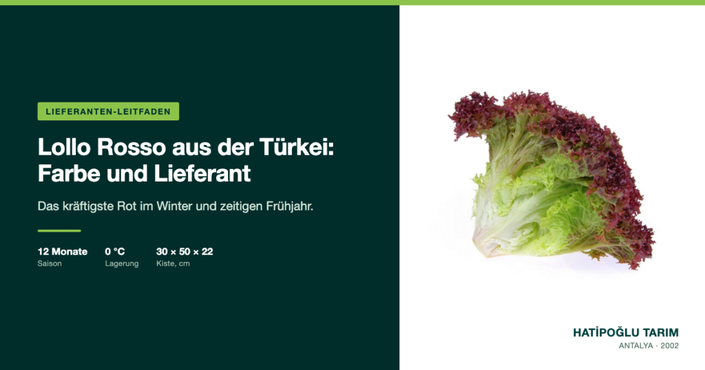 Lollo Rosso aus der Türkei: Farbe und Lieferant