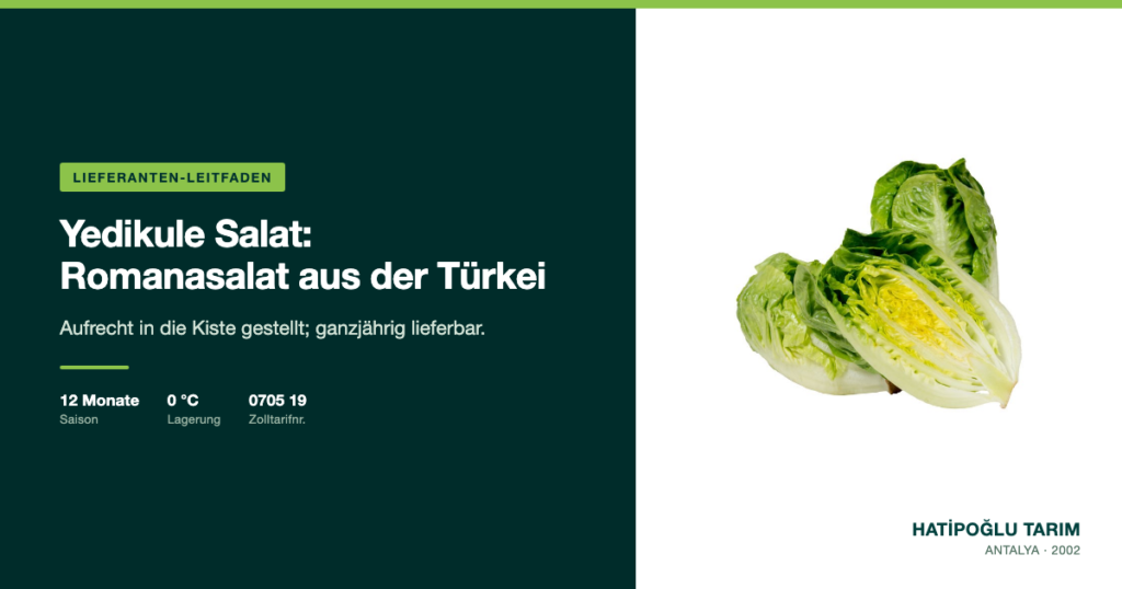 Yedikule Salat: Romanasalat aus der Türkei