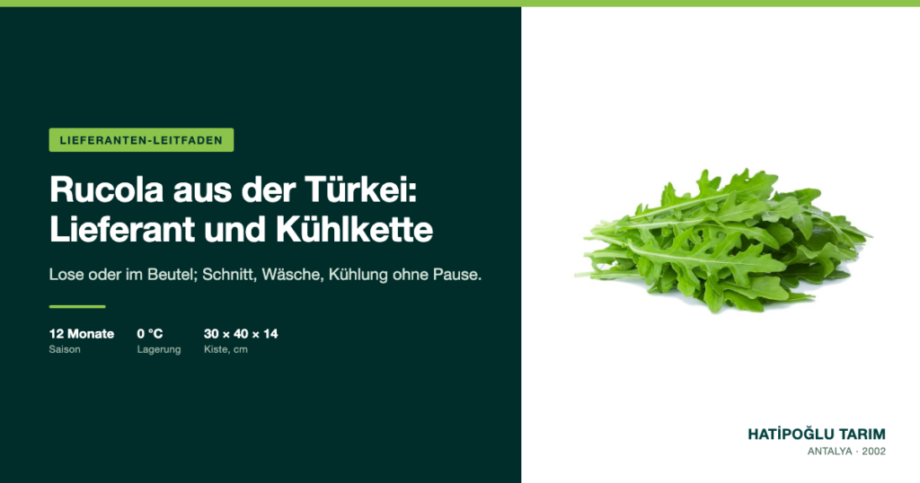 Rucola aus der Türkei: Lieferant und Kühlkette