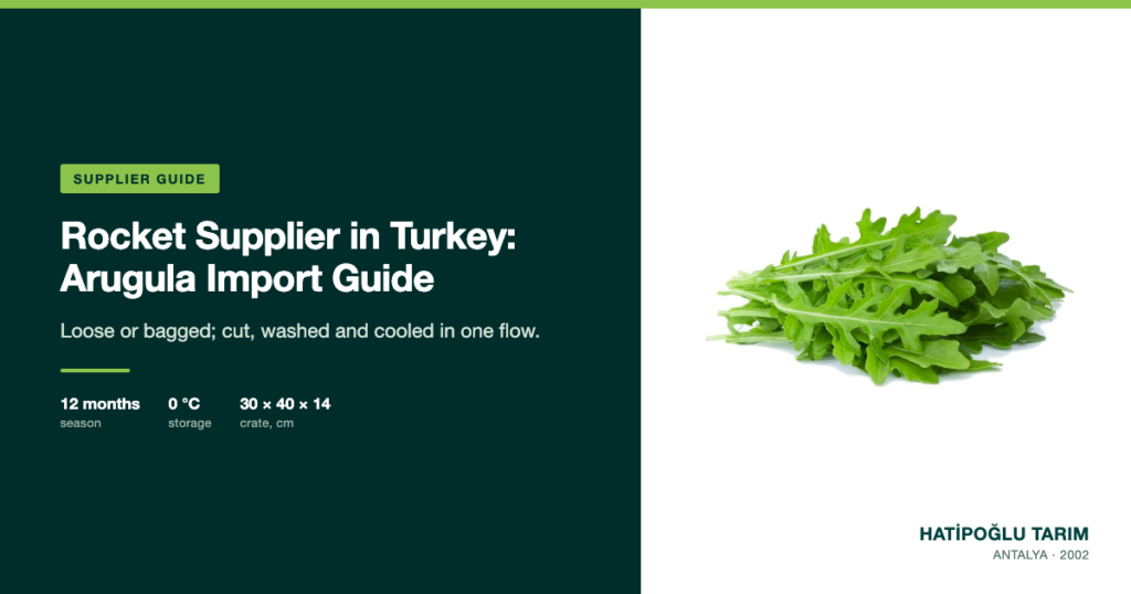 Rocket Supplier in Turkey: Arugula Import Guide