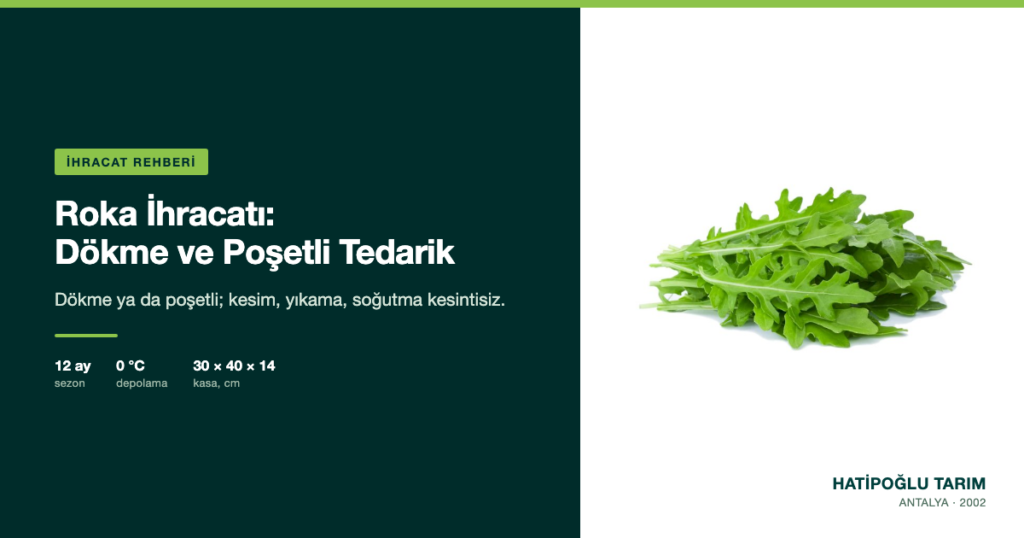 Roka İhracatı: Dökme ve Poşetli Tedarik