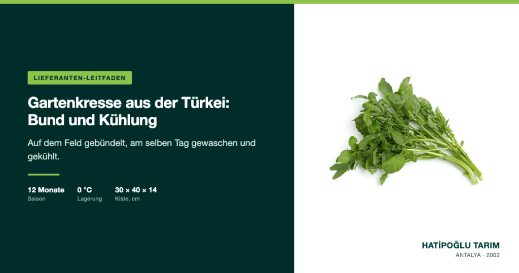 Gartenkresse aus der Türkei: Bund und Kühlung