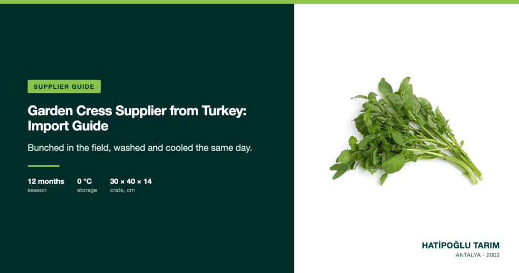 Garden Cress Supplier from Turkey: Import Guide