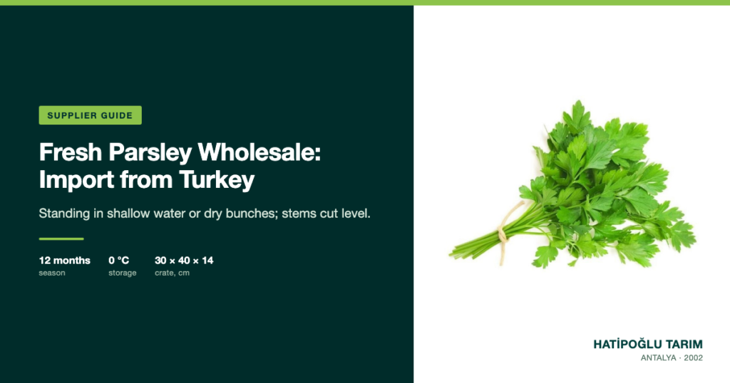 Fresh Parsley Wholesale: Import from Turkey