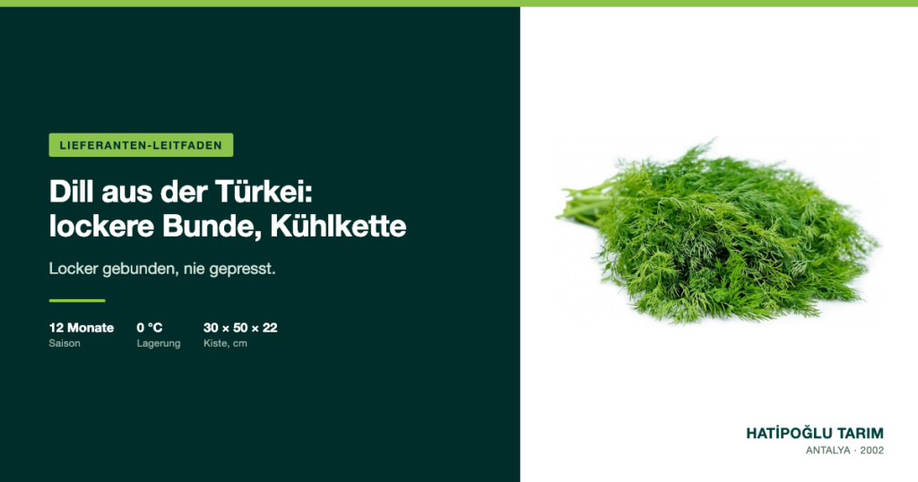 Dill aus der Türkei: lockere Bunde, Kühlkette