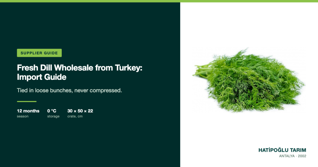 Fresh Dill Wholesale from Turkey: Import Guide