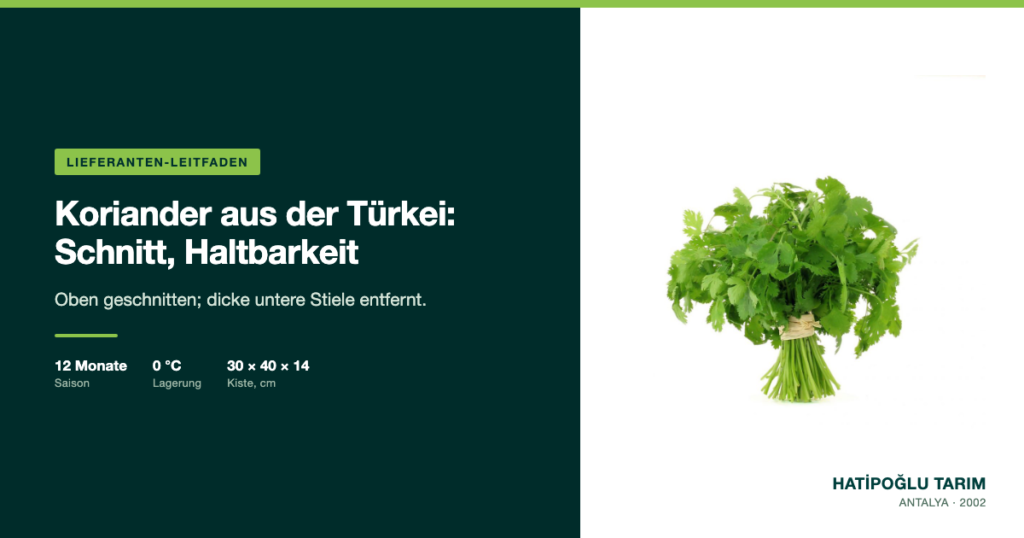 Koriander aus der Türkei: Schnitt, Haltbarkeit
