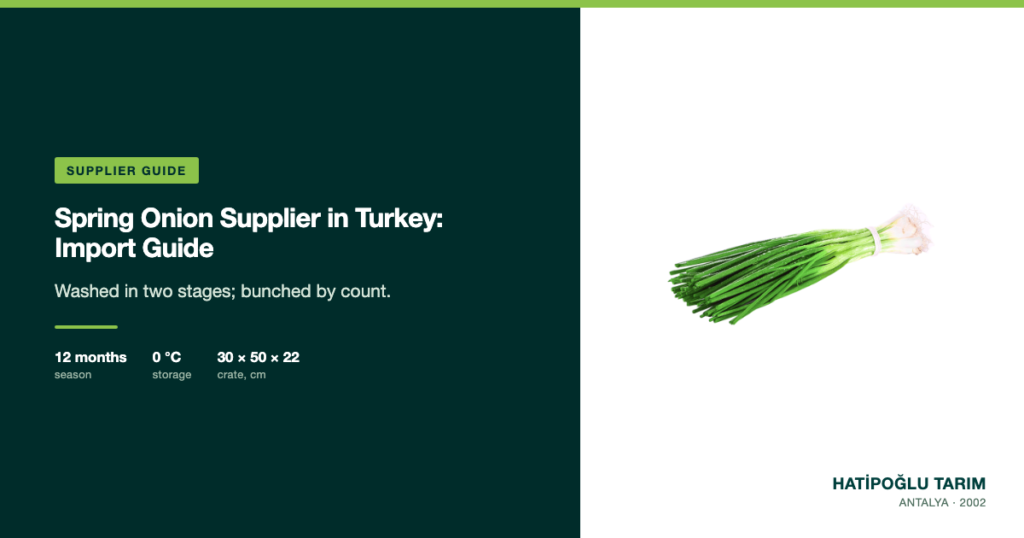 Spring Onion Supplier in Turkey: Import Guide