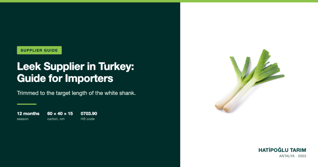 Leek Supplier in Turkey: Guide for Importers