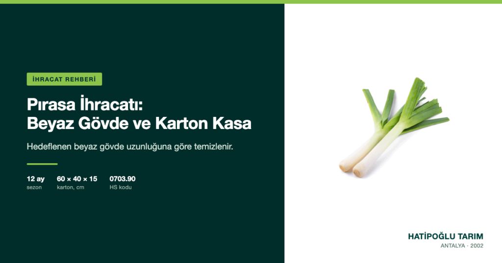 Pırasa İhracatı: Beyaz Gövde ve Karton Kasa