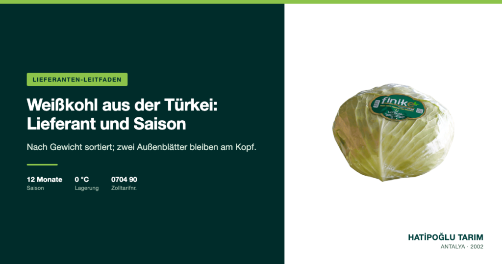 Weißkohl aus der Türkei: Lieferant und Saison