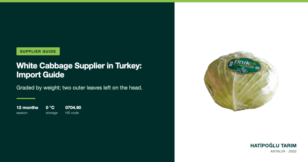 White Cabbage Supplier in Turkey: Import Guide