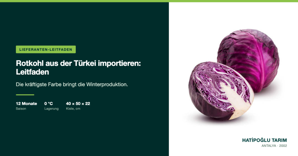 Rotkohl aus der Türkei importieren: Leitfaden