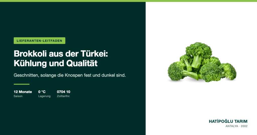 Brokkoli aus der Türkei: Kühlung und Qualität