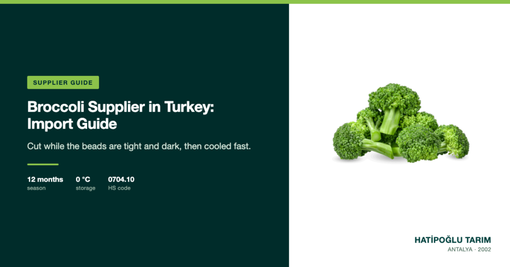 Broccoli Supplier in Turkey: Import Guide