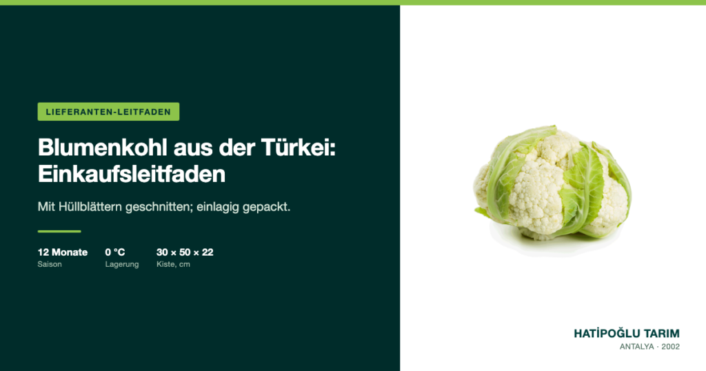 Blumenkohl aus der Türkei: Einkaufsleitfaden