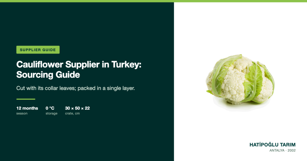 Cauliflower Supplier in Turkey: Sourcing Guide
