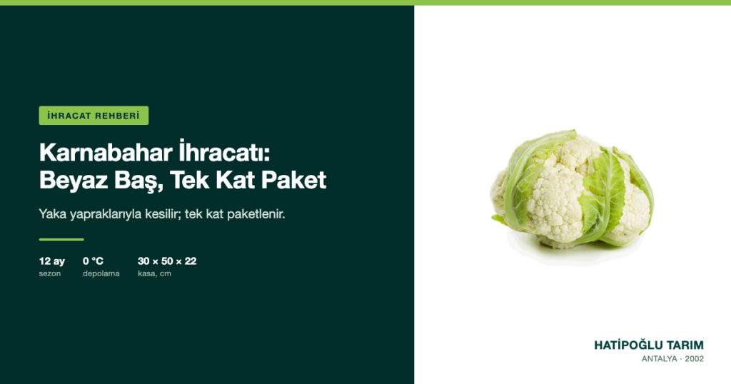 Karnabahar İhracatı: Beyaz Baş, Tek Kat Paket