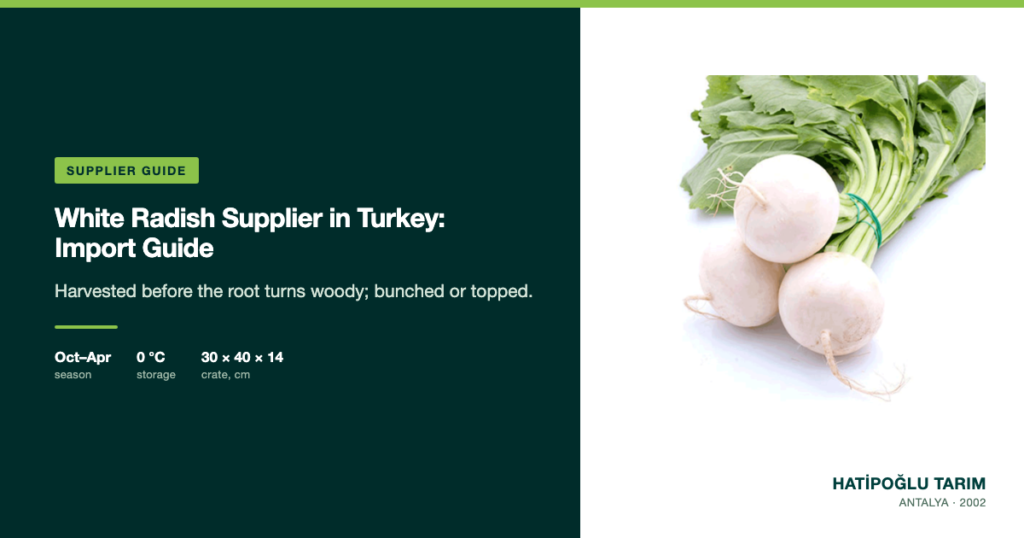 White Radish Supplier in Turkey: Import Guide