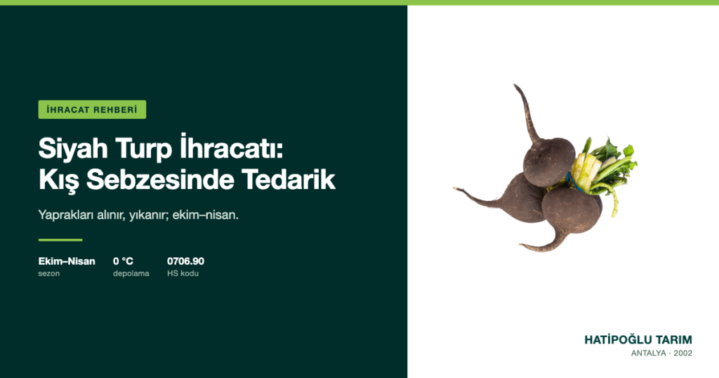 Siyah Turp İhracatı: Kış Sebzesinde Tedarik