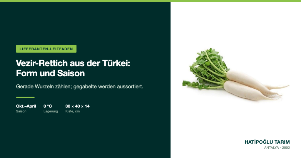Vezir-Rettich aus der Türkei: Form und Saison