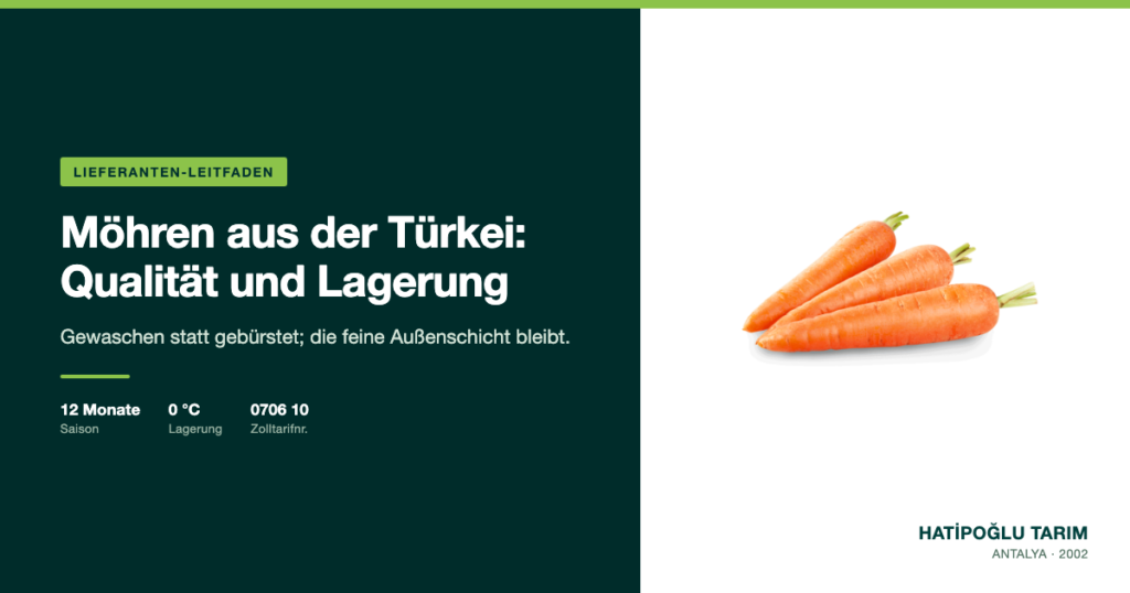 Möhren aus der Türkei: Qualität und Lagerung