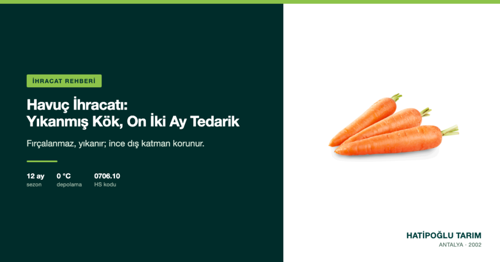 Havuç İhracatı: Yıkanmış Kök, On İki Ay Tedarik