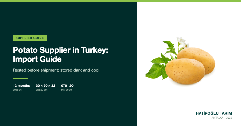 Potato Supplier in Turkey: Import Guide