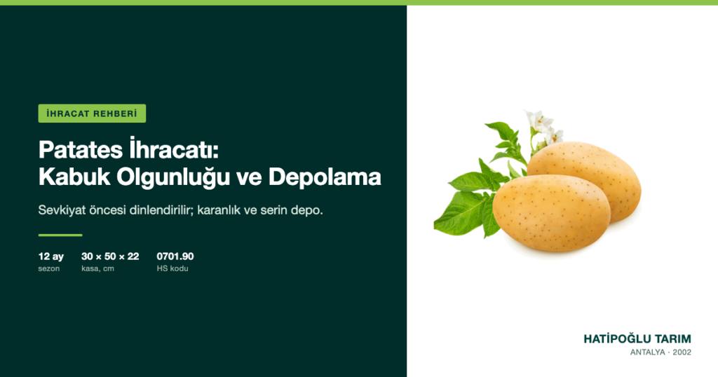 Patates İhracatı: Kabuk Olgunluğu ve Depolama